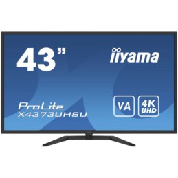 Iiyama Monitor 43" UW...