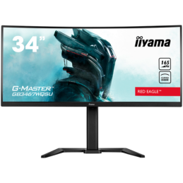 IIYAMA Monitor...