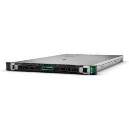 HPE DL360 G11 4510 64G 8SFF...