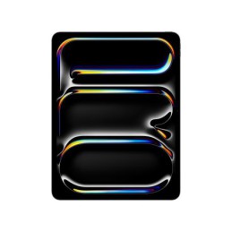 IPAD PRO 13 WIFI 1TB SP BLK...