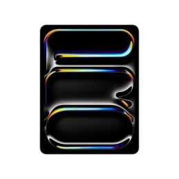 IPAD PRO 13 WF CL 2TB...